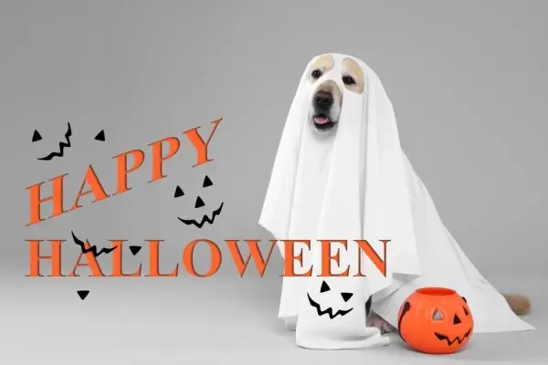 Happy Halloween from Westin Mortgage, Inc.